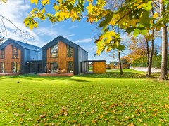 Petrichioaia, insula Maineasca