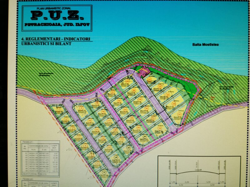 Petrichioaia, insula Maineasca,