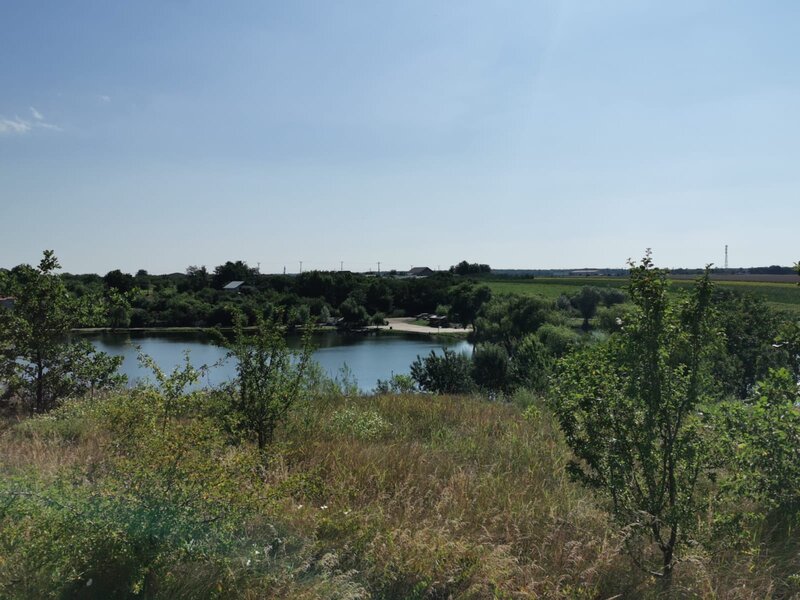 Petrichioaia, insula Maineasca,